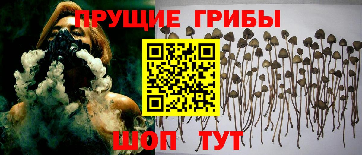 Псилоцибиновые грибы мухоморы  Вход с VPN  купить наркоту  Шарыпово  Псилоцибиновые грибы Magic Shrooms 