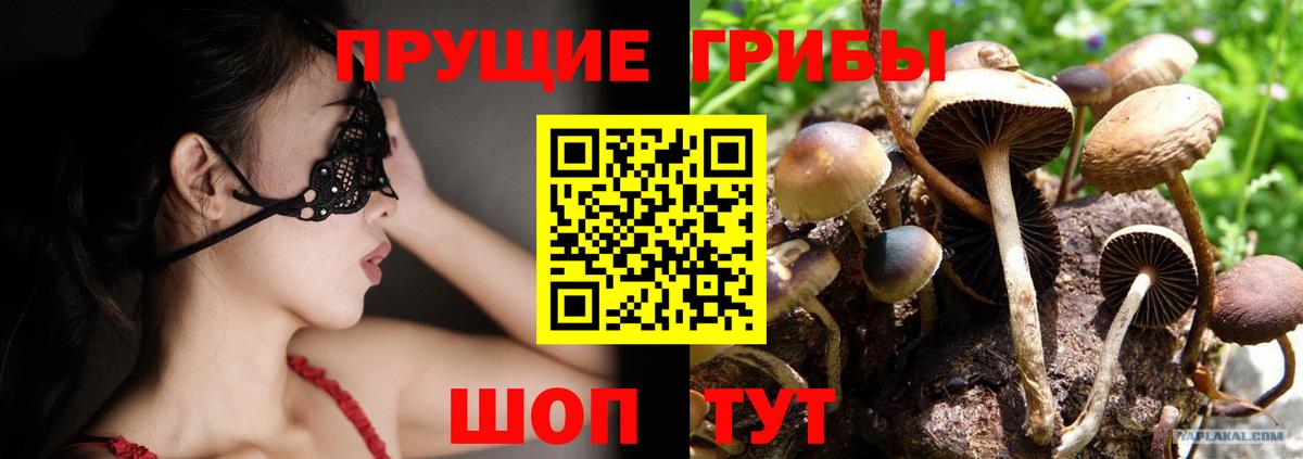 Псилоцибиновые грибы Psilocybe Шарыпово